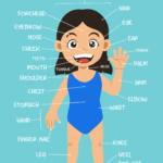 Human Body Parts Name In English