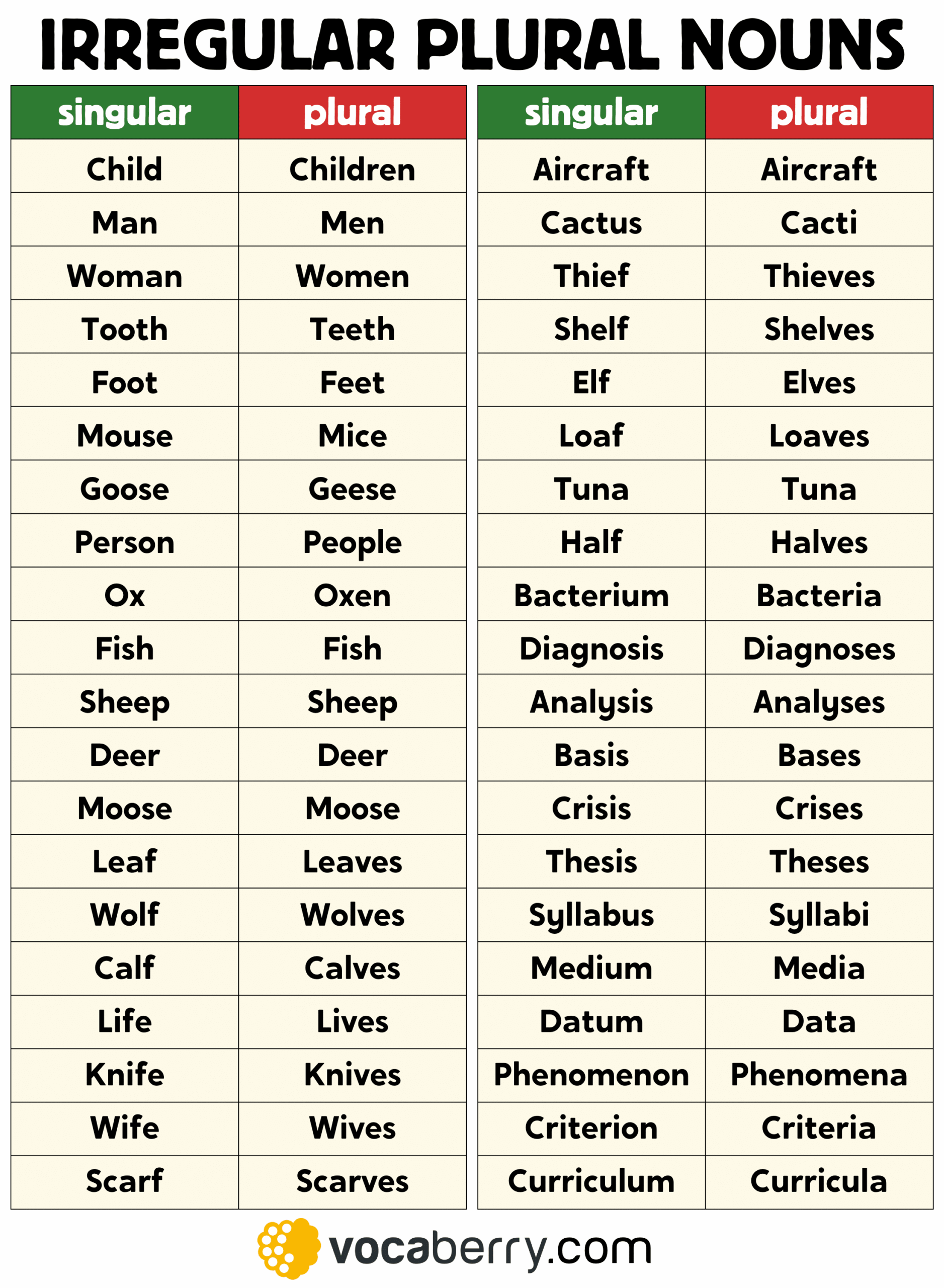 Irregular Plural Nouns