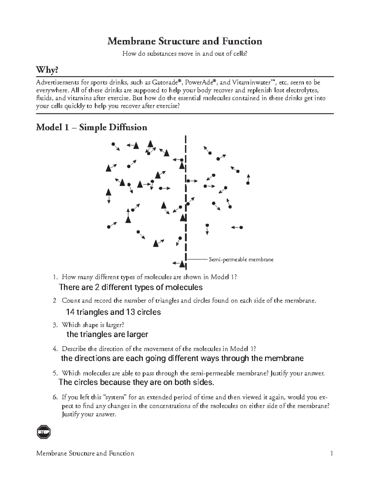 Kami Export Sivraj Bullock Membrane Structure Function POGIL Notes Studocu