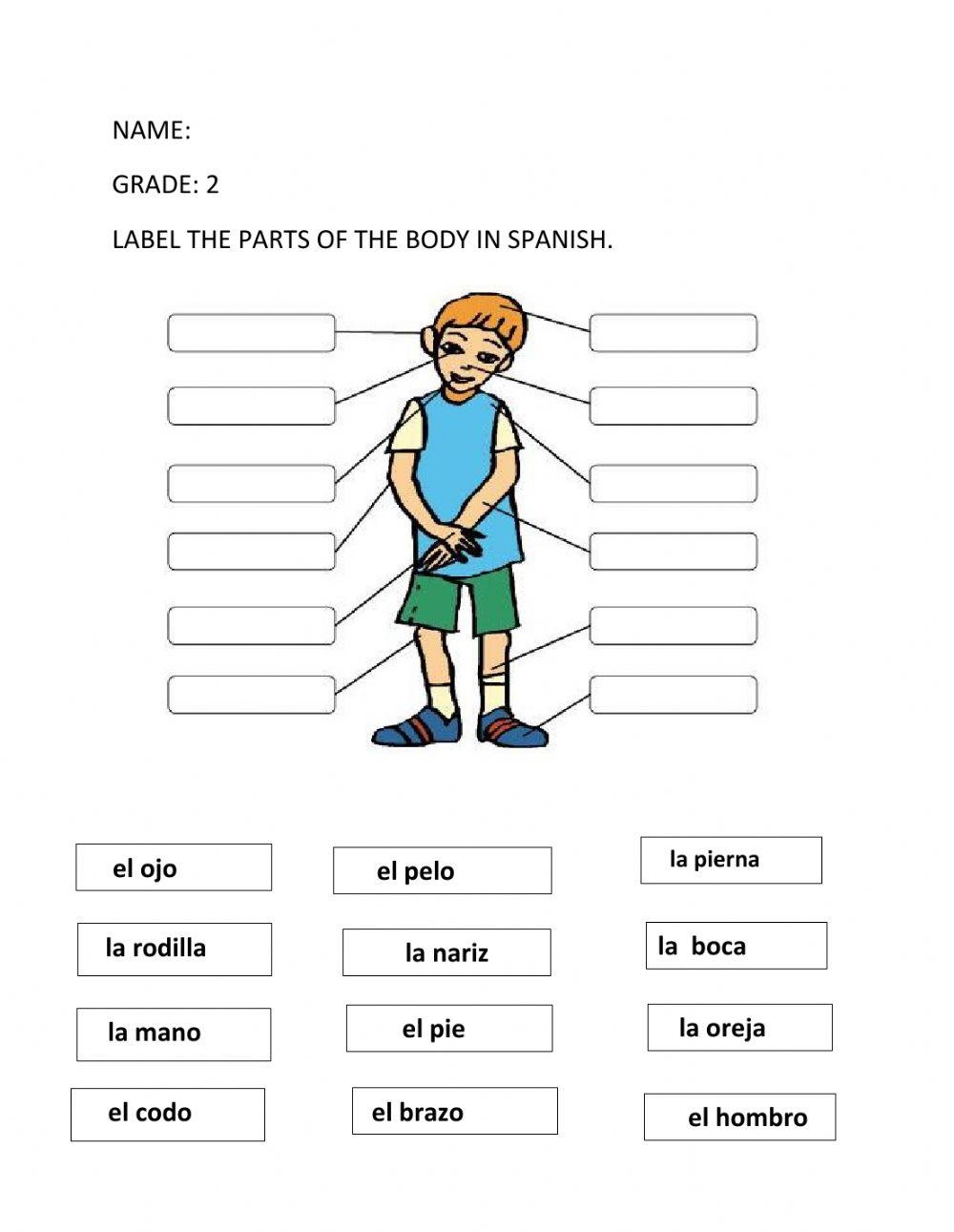 Label The Parts Of The Body In Spanish Online Exercise For Live Worksheets Library Label The Parts Of The Body In Spanish Online Exercise For Live Worksheets Library