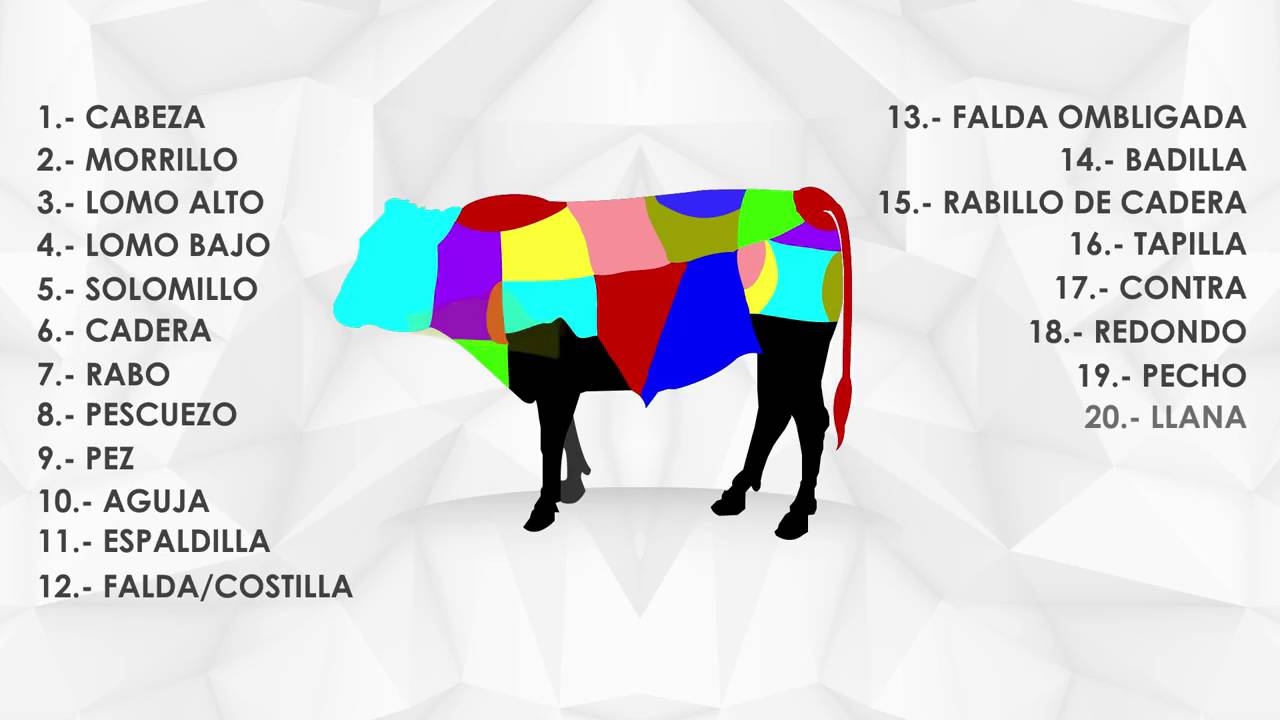 Las Partes De Una Vaca YouTube