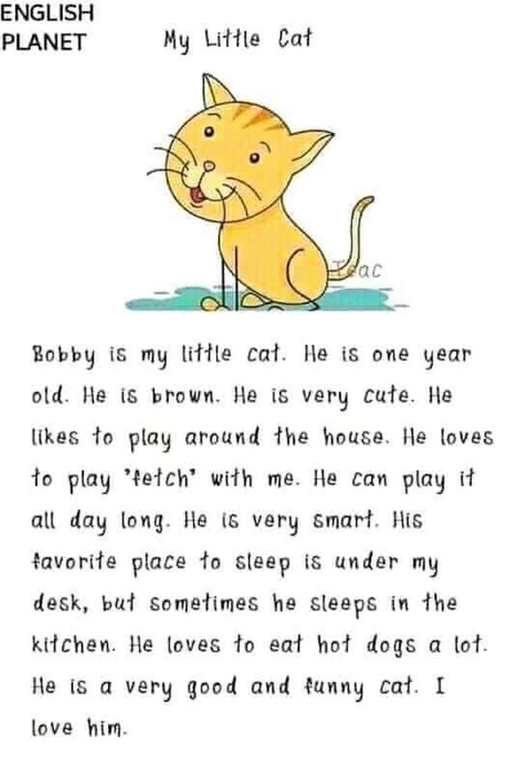 Lectura Corta En Ingl s