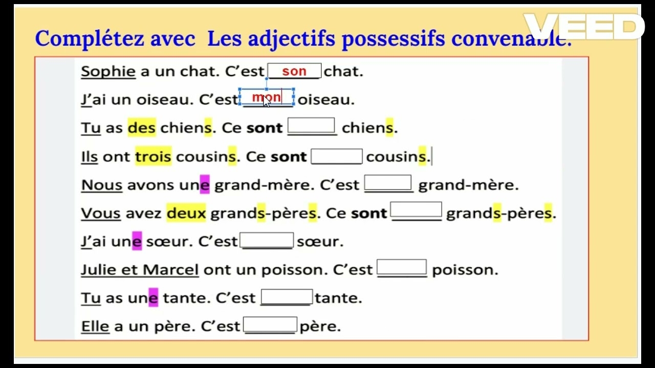 Les Adjectifs Possessifs 2 YouTube