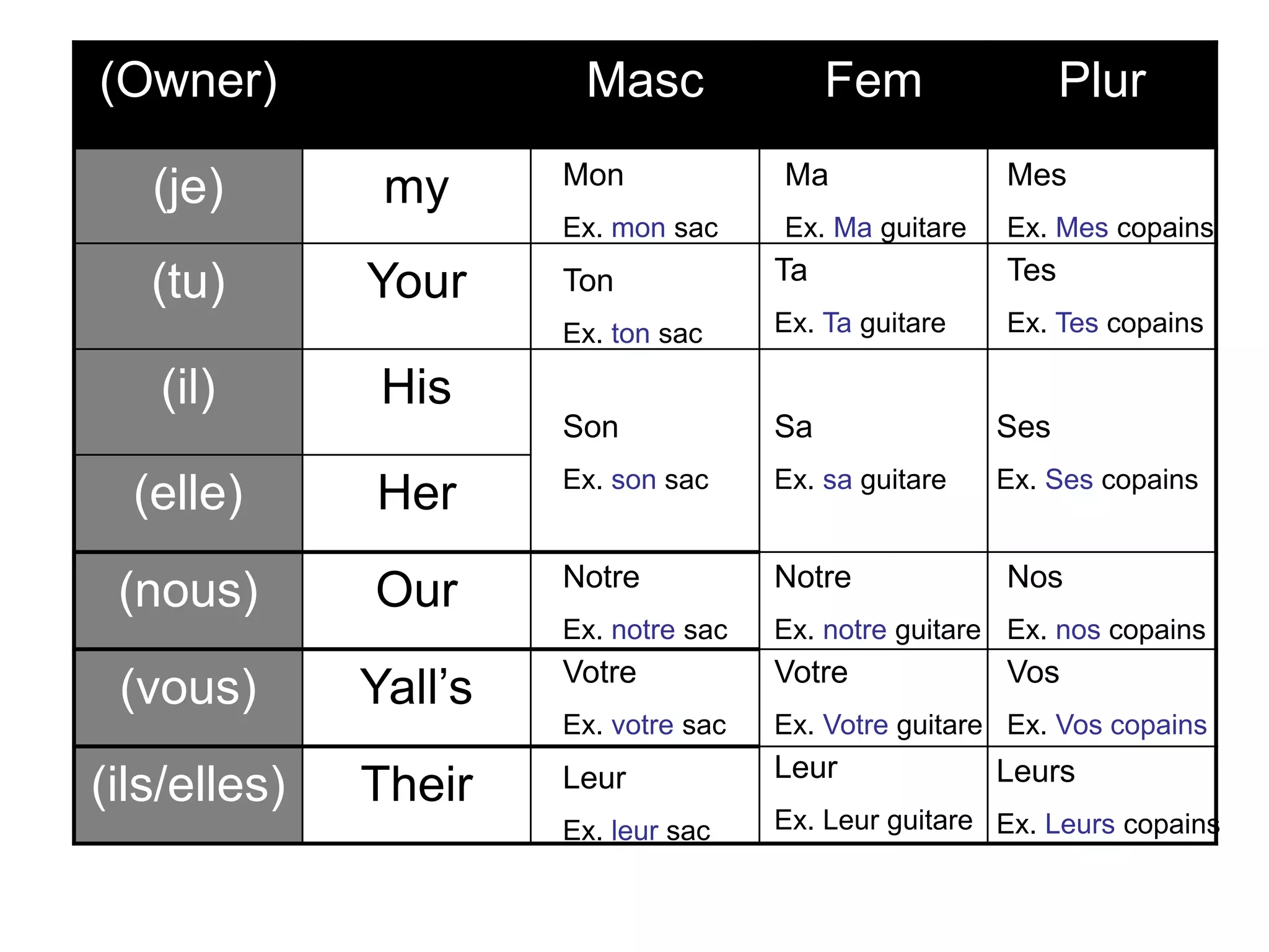 Les Adjectifs Possessifs ppt