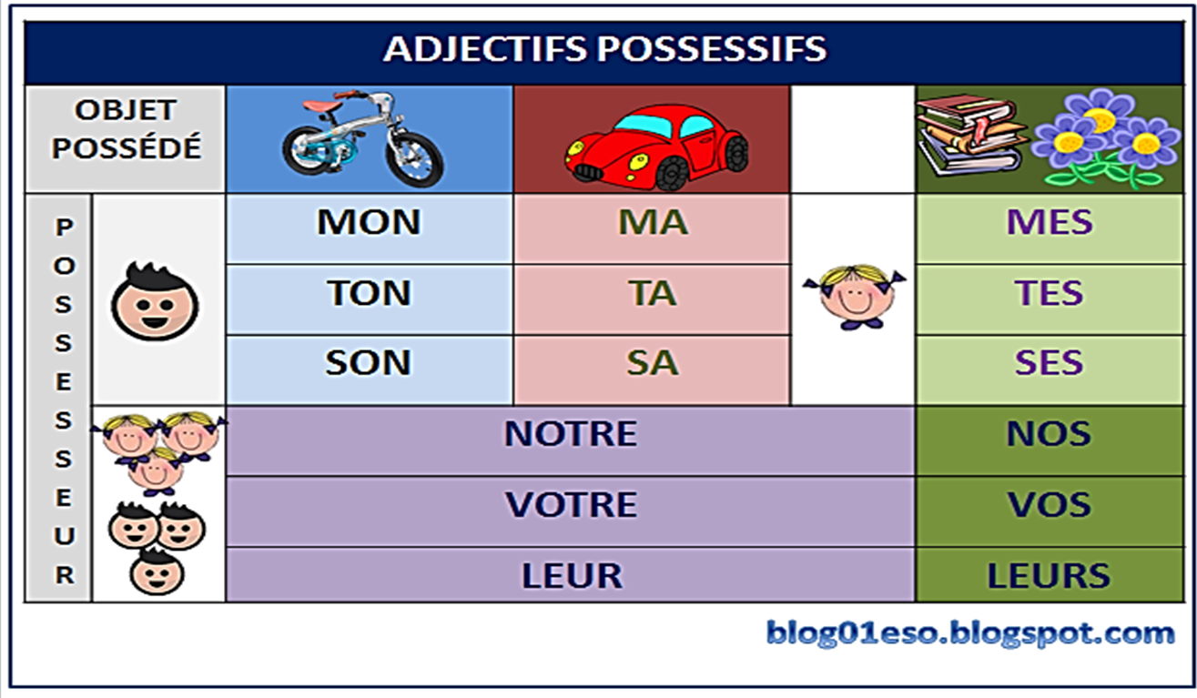 Les Adjectifs Possessifs Profmichelle