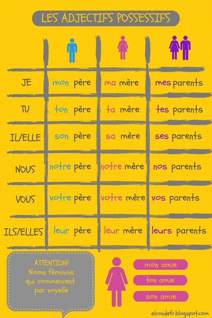 Les Adjectifs Possessifs