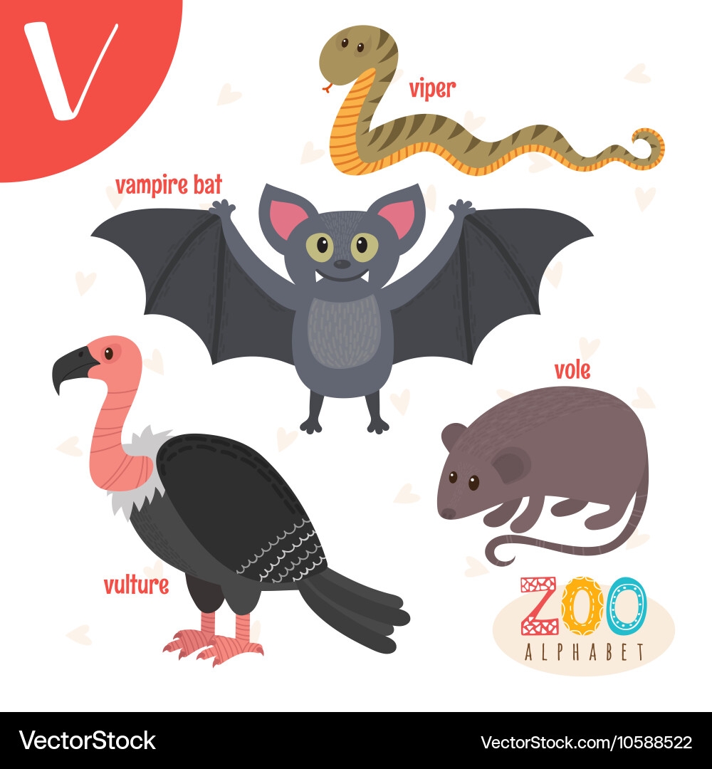 Letter V Cute Animals Funny Cartoon Royalty Free Vector Letter V Cute Animals Funny Cartoon Royalty Free Vector