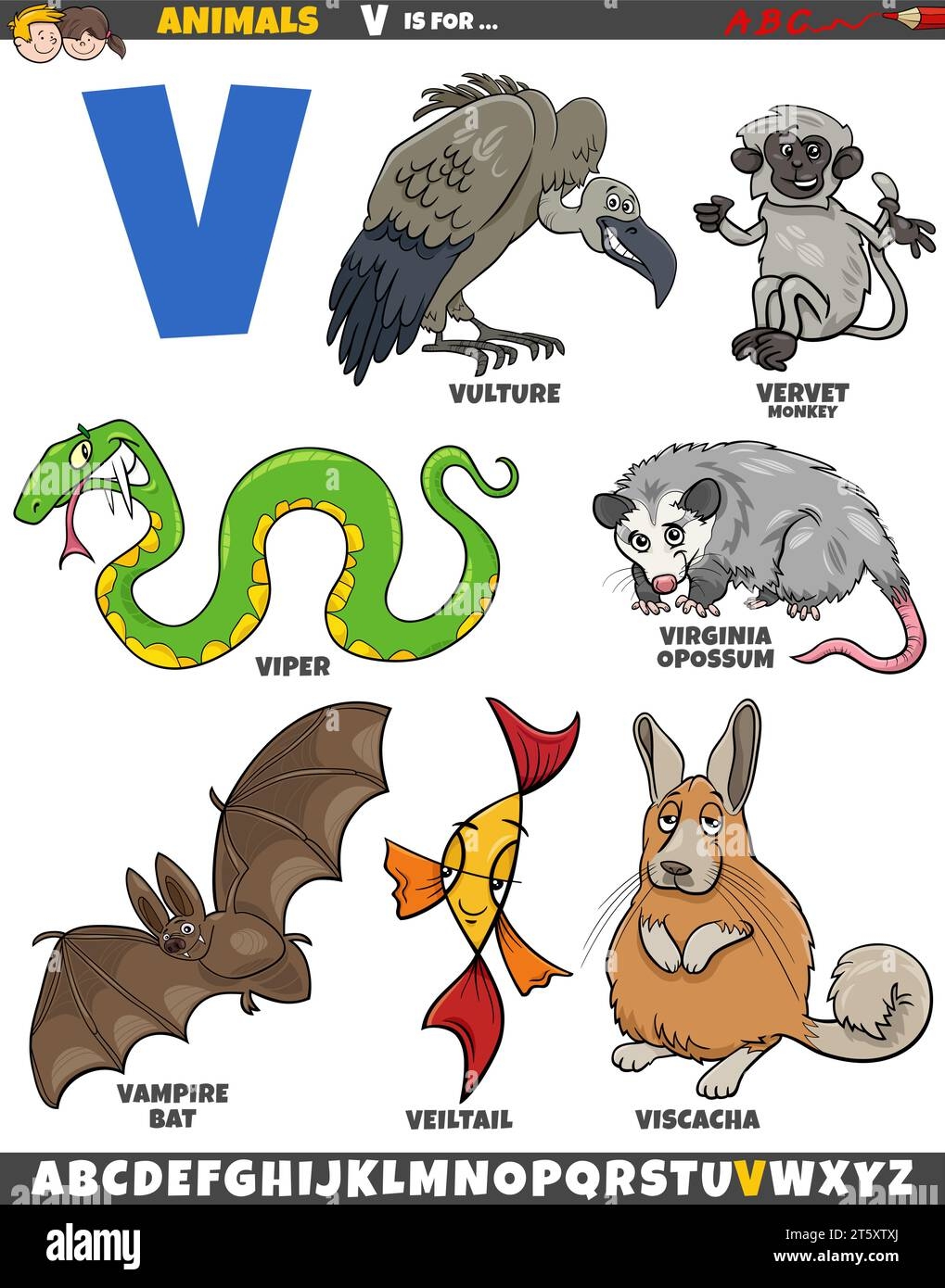 Letter V Vulture Hi res Stock Photography And Images Alamy