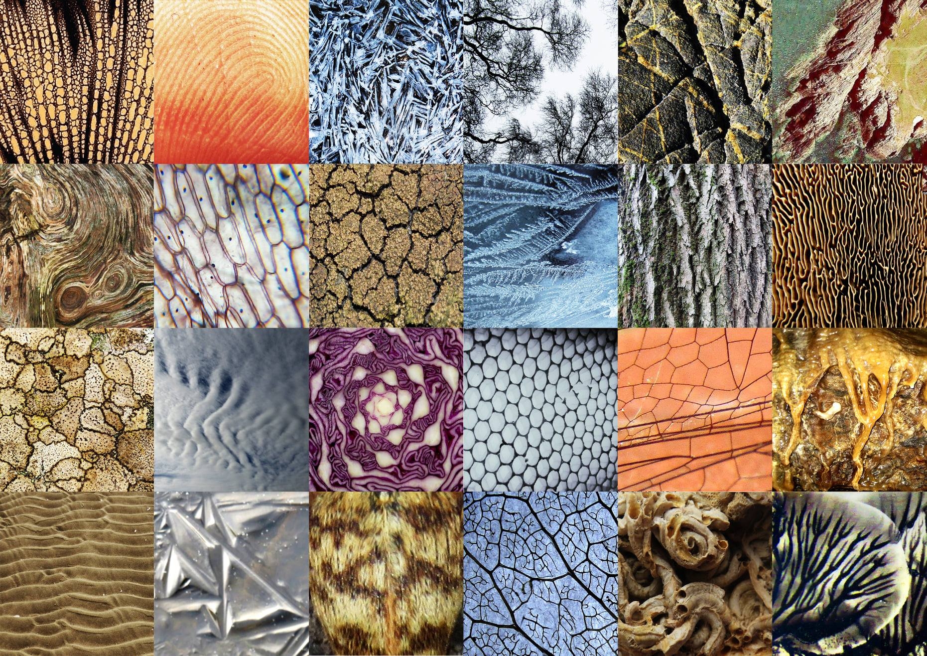 Li Patterns In Nature