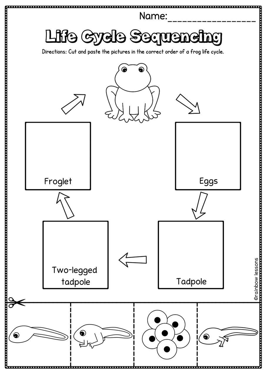 Life Cycle Of Frog Activities Frog Life Cycle Craft Kindergarten Science Science Projects Worksheets Library