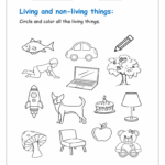 Living And Non Living Things Worksheet Planetspin in