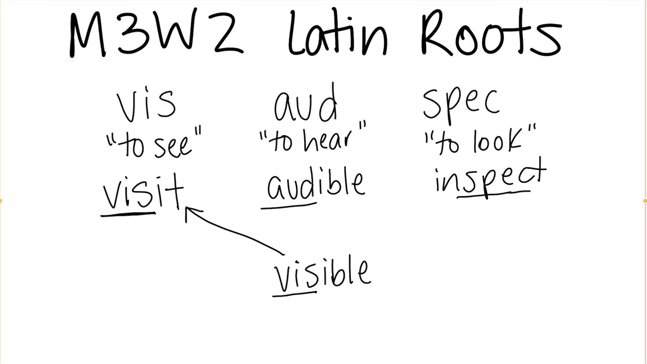 M3W2 Latin Roots Vis Aud Spec YouTube M3W2 Latin Roots Vis Aud Spec YouTube
