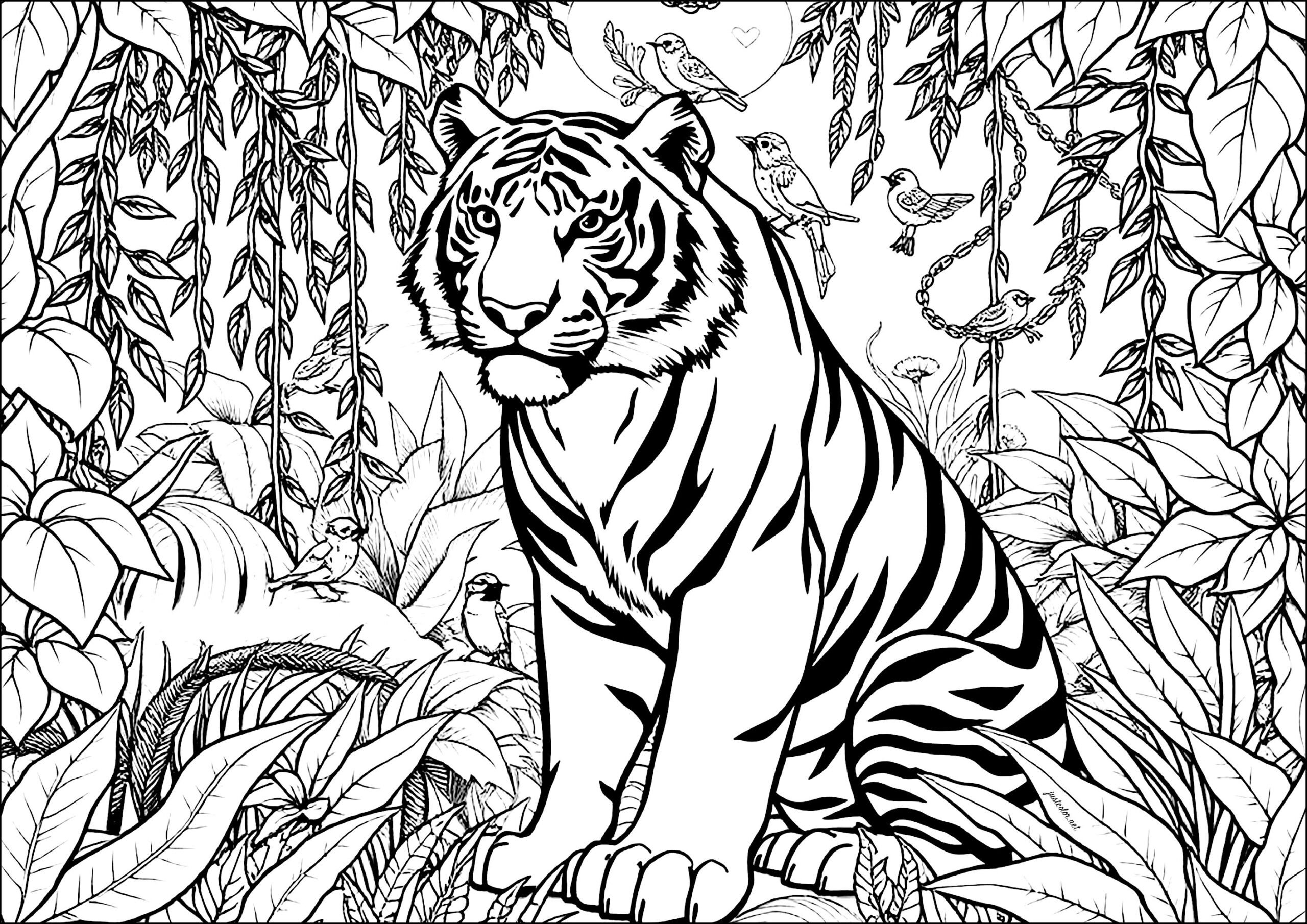 Magnificent Tiger Surrounded By Lush Vegetation Tiger Coloring Pages For Adults Magnificent Tiger Surrounded By Lush Vegetation Tiger Coloring Pages For Adults