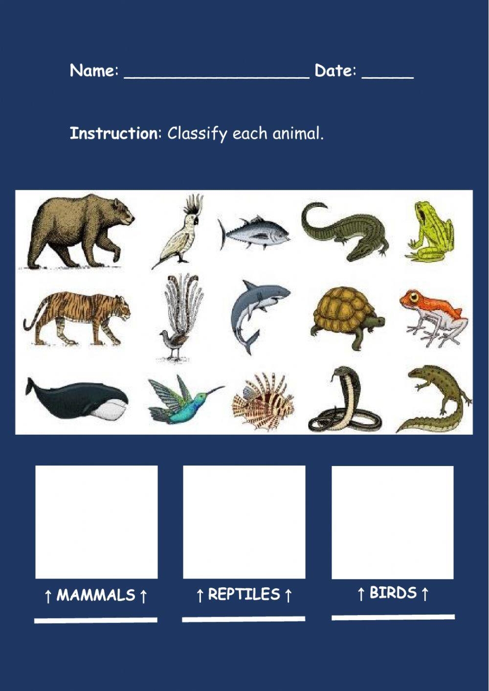 Mammals Reptiles And Birds Worksheet Live Worksheets Worksheets Library