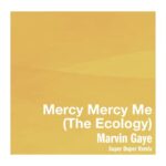 Marvin Gaye Mercy Mercy Me The Ecology Super Duper Remix Lyrics Genius Lyrics