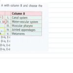 Match Of Column A With Column B And Choose The Correct Option Column A Column B YouTube