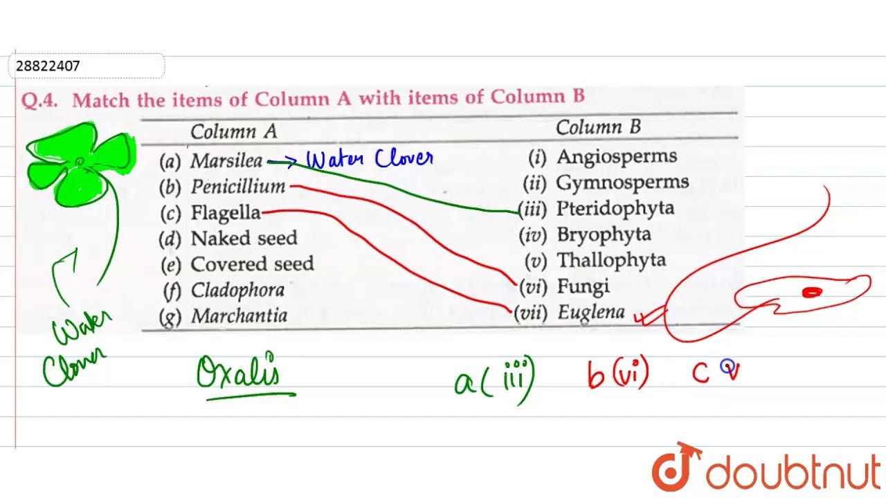 Match The Items Of Column A With Items Of Column B YouTube