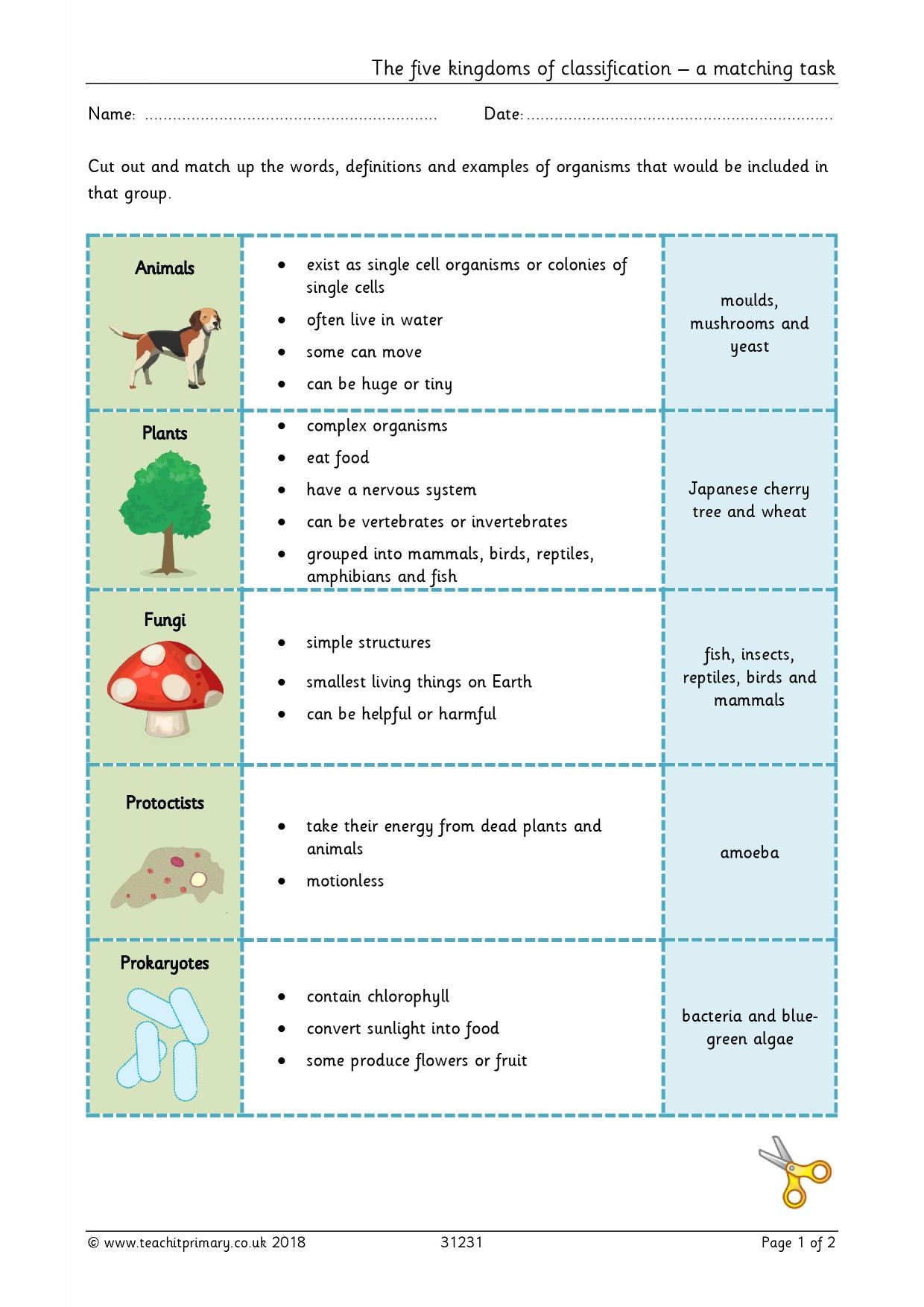 Matching Kingdoms Of Classification KS2 Science Teachit Worksheets Library Matching Kingdoms Of Classification KS2 Science Teachit Worksheets Library