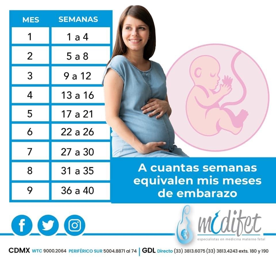 Medifet On X A Cuantas semanas Equivalen Mis meses De embarazo Haz Tu Cita En Medifet Para Llevar El Seguimiento De Tu Salud Y La De Tu beb CDMX GDL miembarazo Medifet On X A Cuantas semanas Equivalen Mis meses De embarazo Haz Tu Cita En Medifet Para Llevar El Seguimiento De Tu Salud Y La De Tu beb CDMX GDL miembarazo