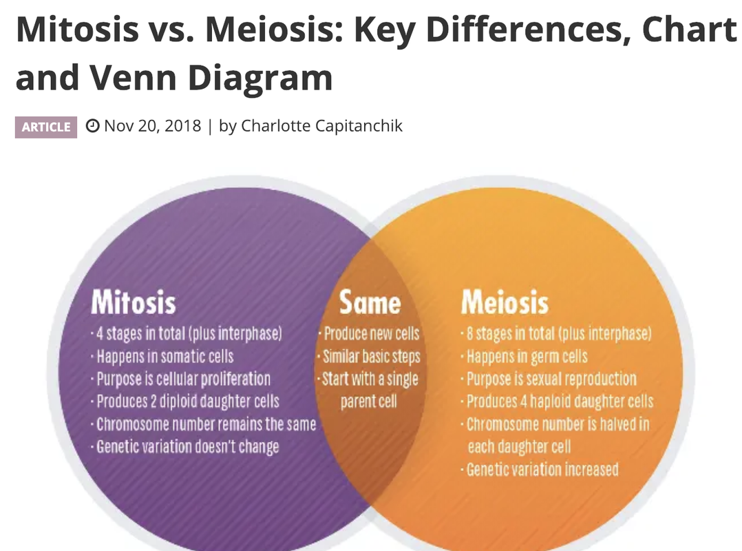 mitosis versus meiosis venn diagram mitosis versus meiosis venn diagram