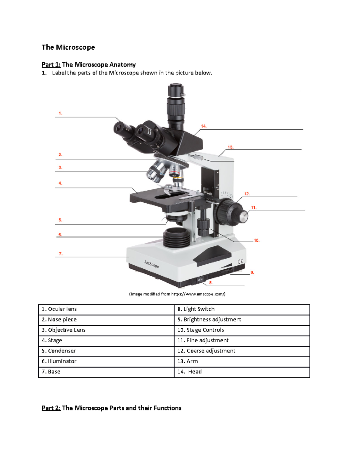 parts of the microscope worksheet