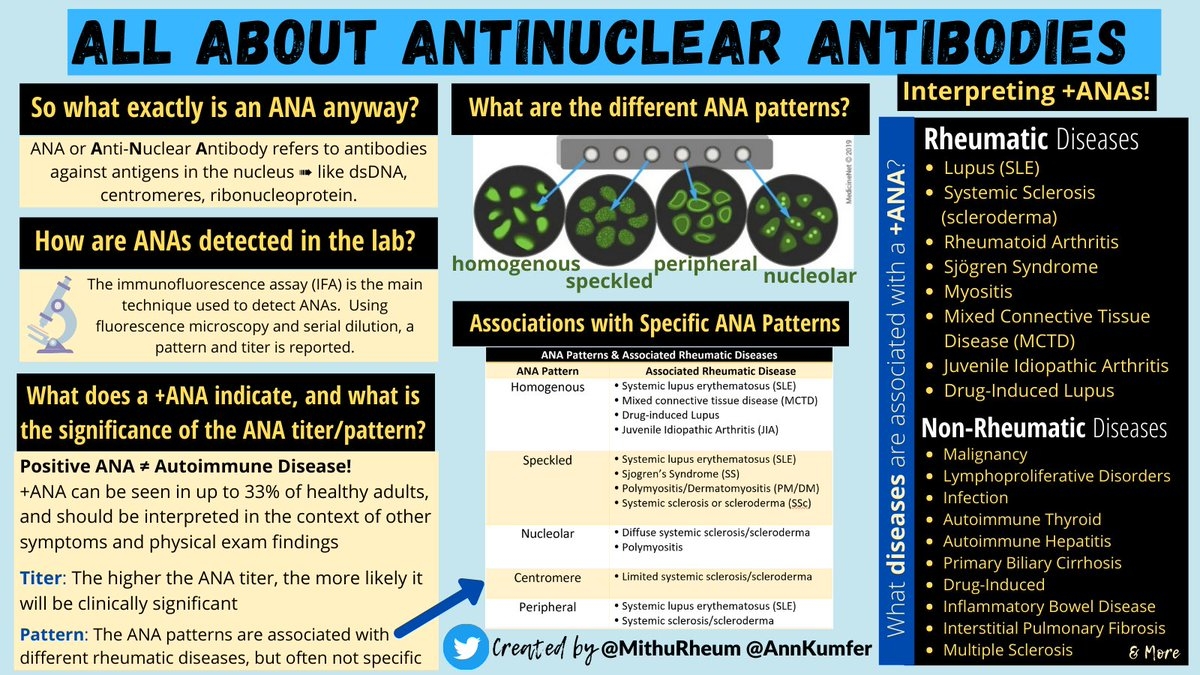 Mithu Maheswaranathan MD On X Understanding ANAs Antinuclear Antibodies With AnnKumfer What Does A ANA Mean What Is The Significance Of The ANA Titer pattern What Rheumatic Diseases And Mithu Maheswaranathan MD On X Understanding ANAs Antinuclear Antibodies With AnnKumfer What Does A ANA Mean What Is The Significance Of The ANA Titer pattern What Rheumatic Diseases And