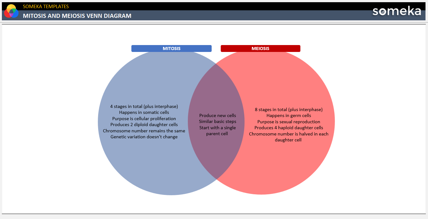 Mitosis And Meiosis Venn Diagram Free Template 