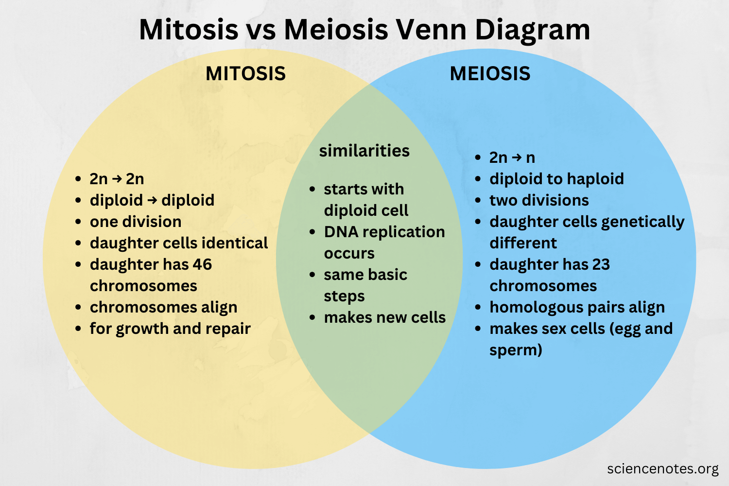 Mitosis Vs Meiosis Mitosis Vs Meiosis