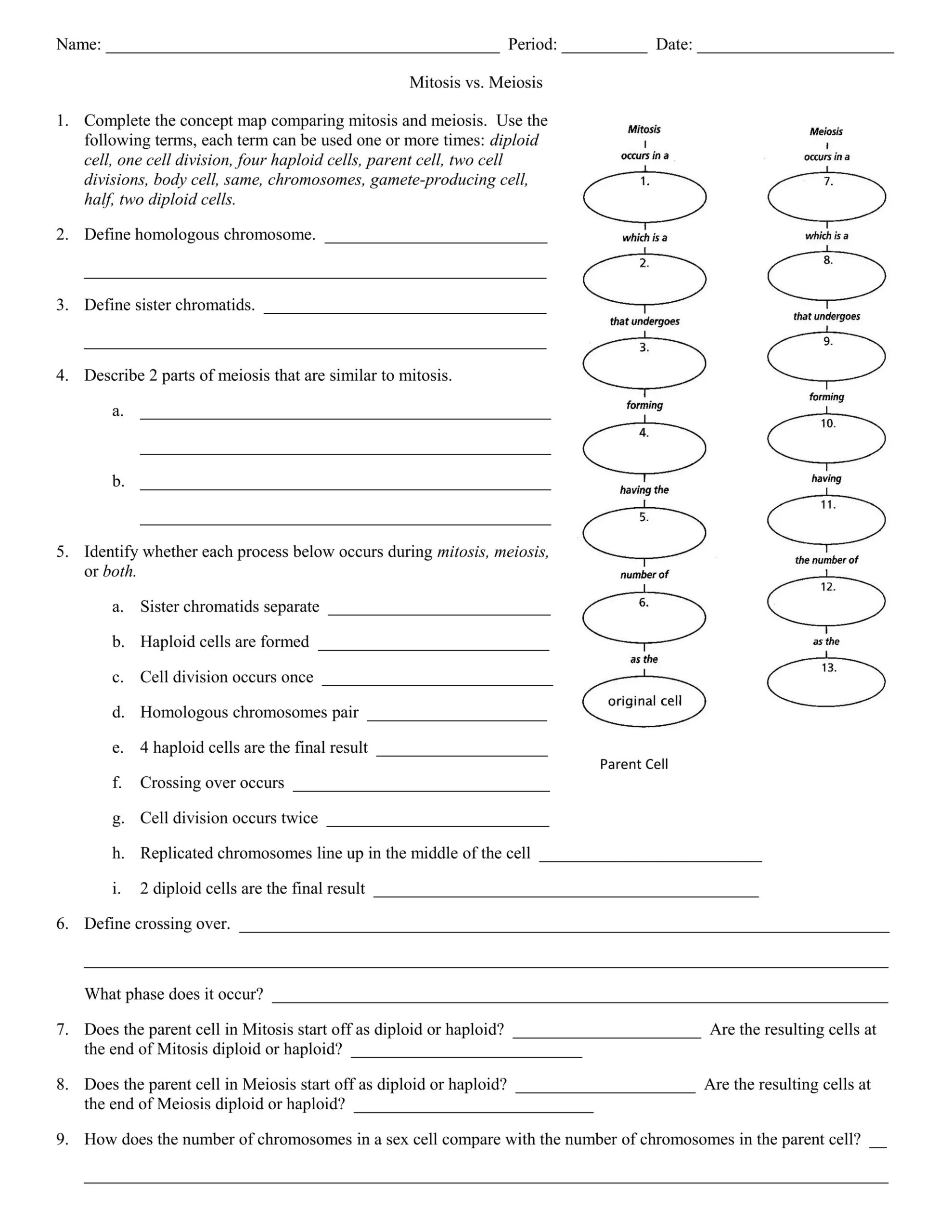 Mitosis Vs Meiosis Worksheet DOC Mitosis Vs Meiosis Worksheet DOC