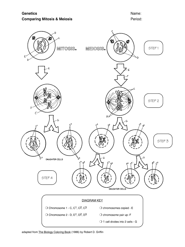Mitosis Vs Meiosis Worksheet Fill Out amp Sign Online DocHub Worksheets Library Mitosis Vs Meiosis Worksheet Fill Out amp Sign Online DocHub Worksheets Library