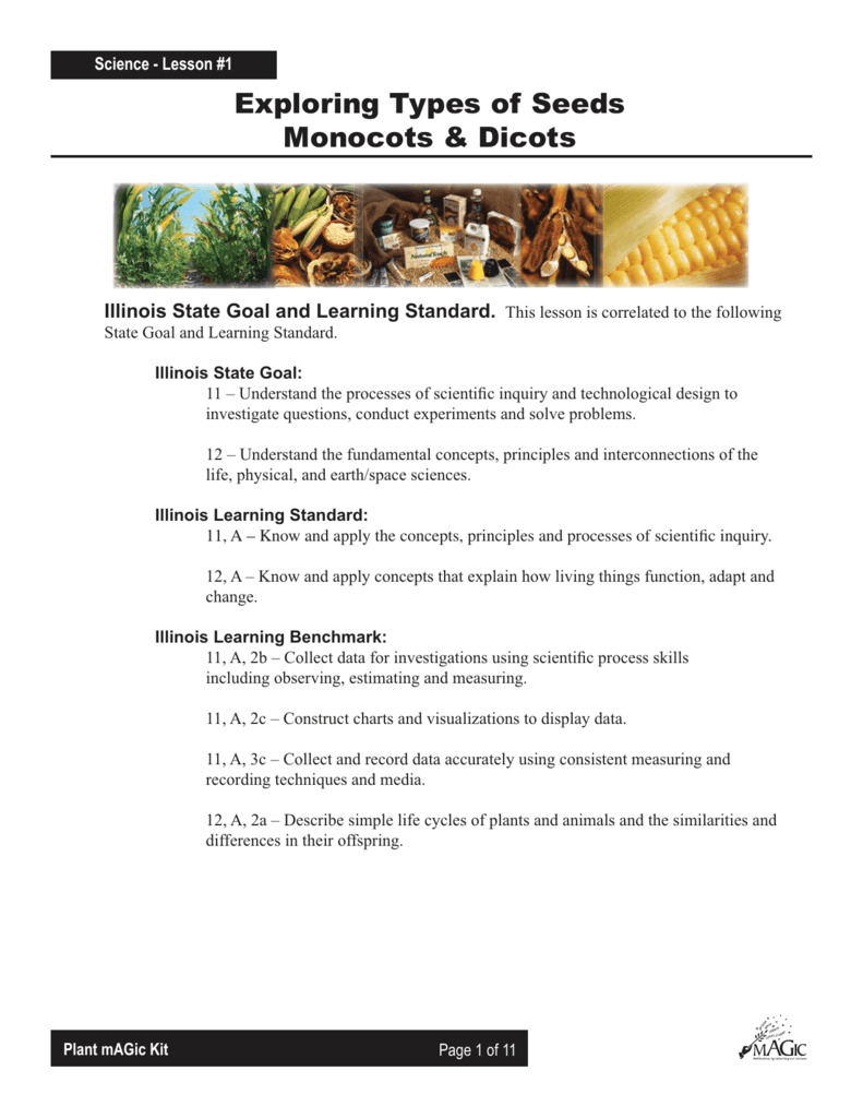Monocots Dicots Seed Exploration Lesson Plan