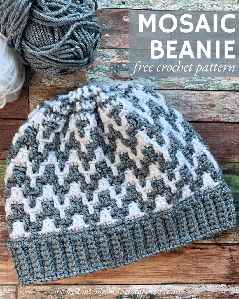 Mosaic Beanie Crochet Pattern Hooked On Homemade Happiness