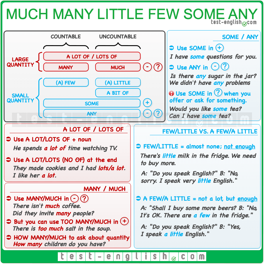 Much Many Little Few Some Any Quantifiers Test English