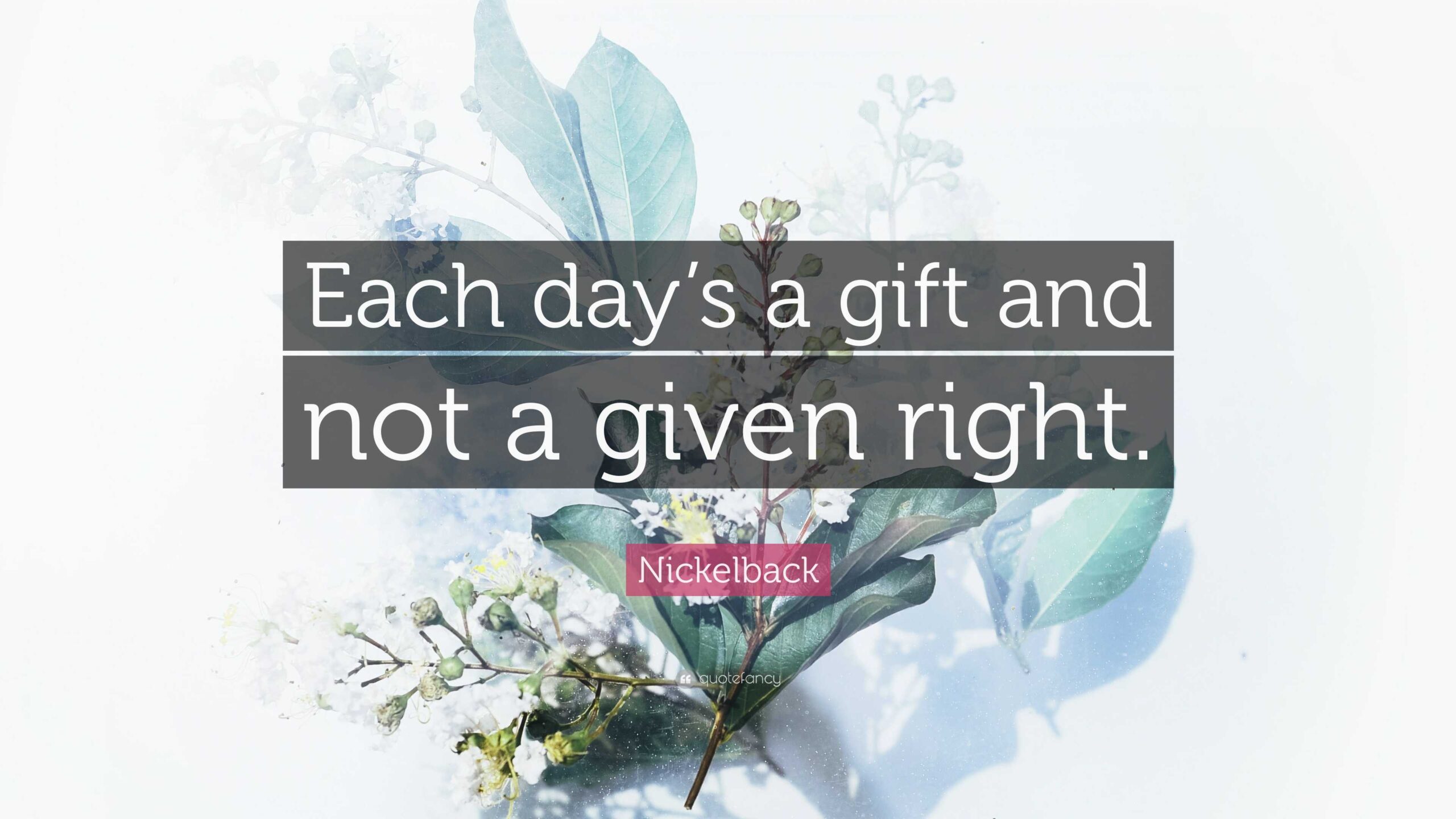 Nickelback Quote Each Day s A Gift And Not A Given Right 