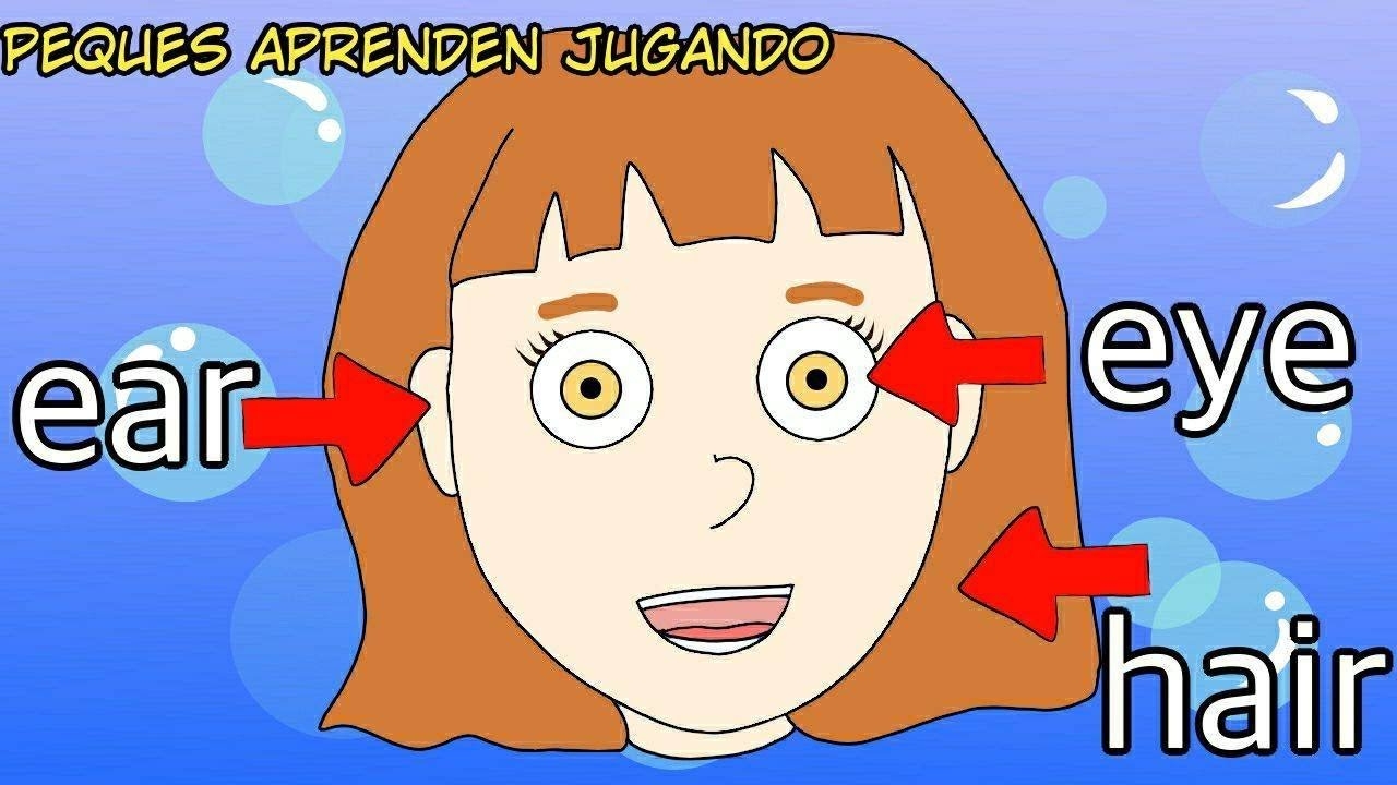 Partes De La Cara En Ingl s Para Ni os Partes De La Cabeza En Ingl s Peques Aprenden Jugando YouTube