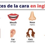 Partes De La Cara En Ingl s Y Espa ol Con Pronunciaci n YouTube