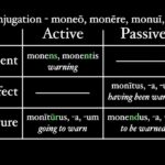Participles In Latin YouTube