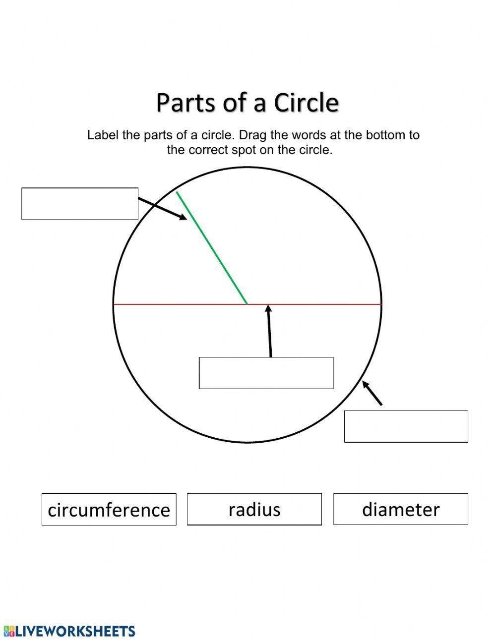 Parts Of A Circle Worksheet Live Worksheets Worksheets Library Parts Of A Circle Worksheet Live Worksheets Worksheets Library
