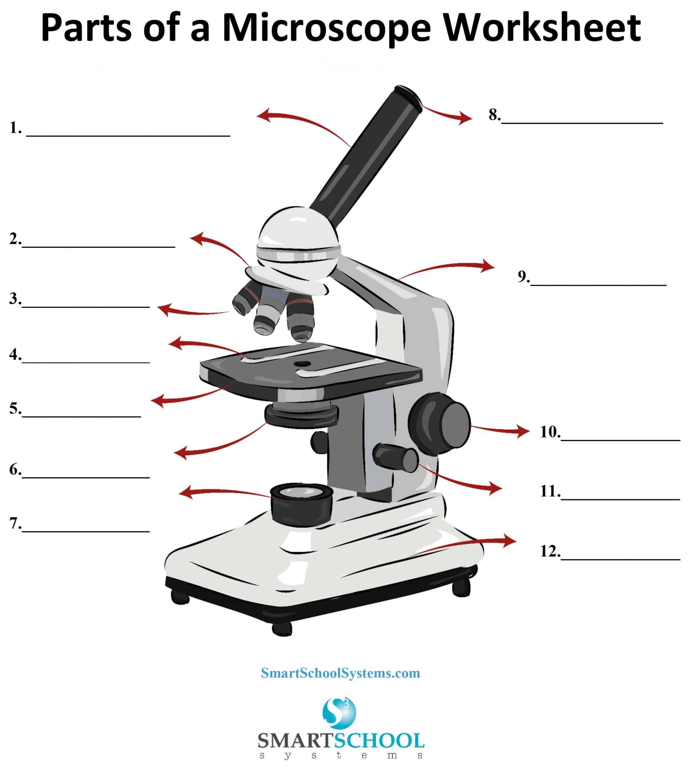 Parts Of A Microscope SmartSchool Systems Worksheets Library