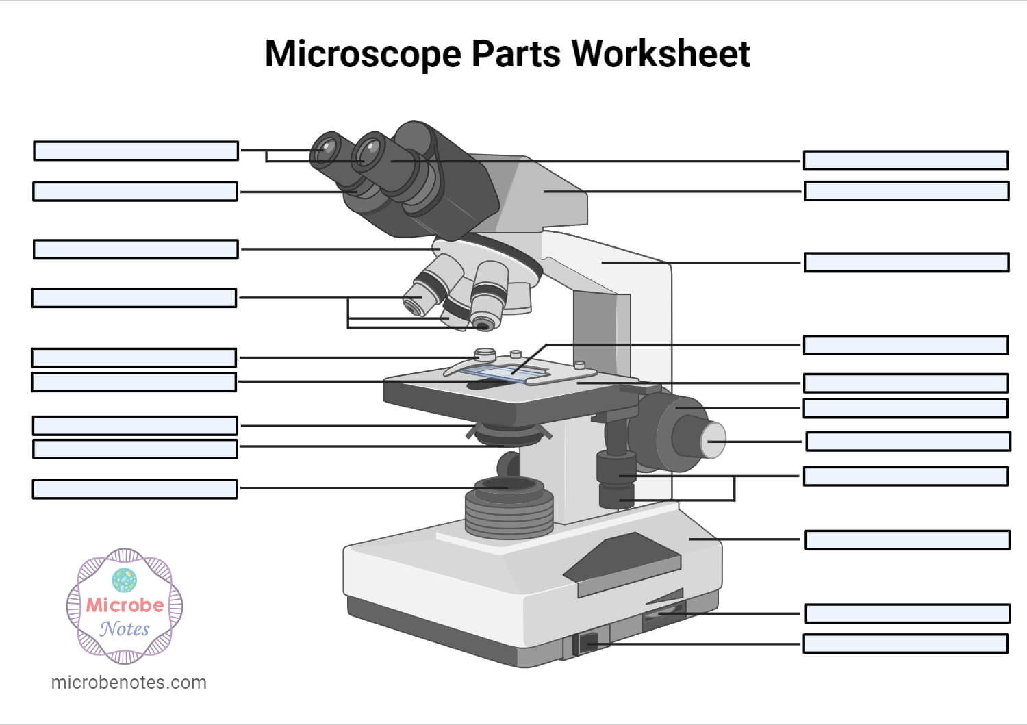 Parts Of A Microscope With Functions And Labeled Diagram