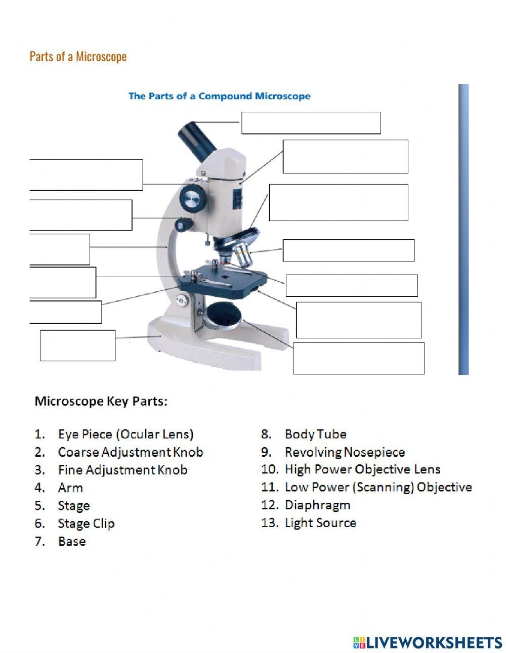 Parts Of A Microscope Worksheet Live Worksheets Worksheets Library
