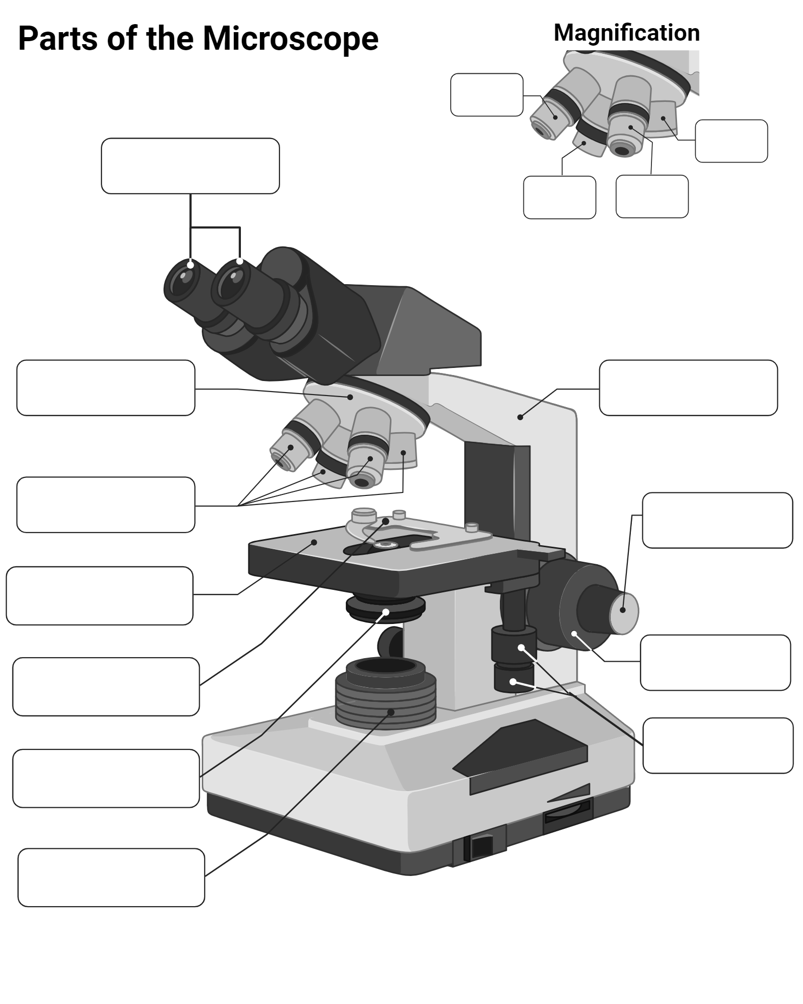 Parts Of The Microscope Worksheet BioRender Science Templates