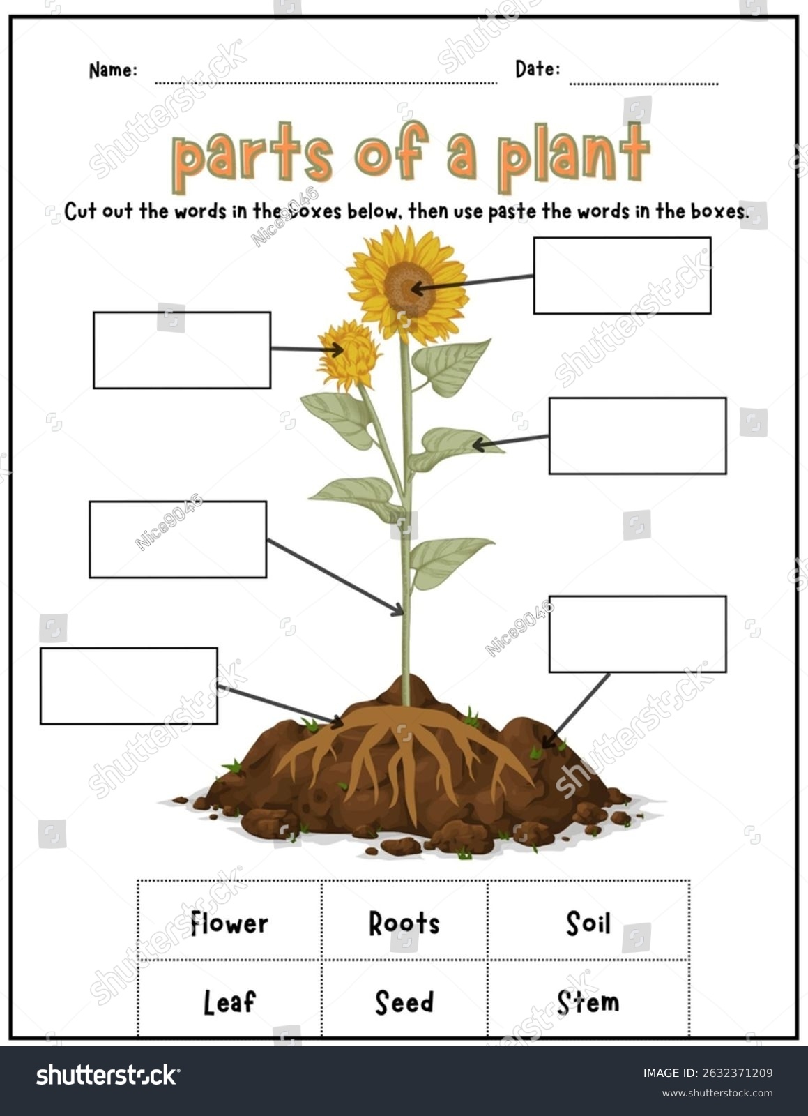 parts of a plant worksheet parts of a plant worksheet