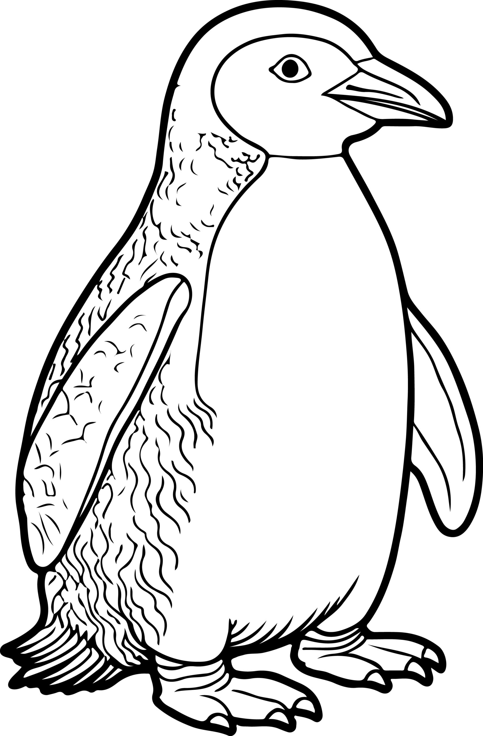 Penguin Coloring Book Coloring Pages With Penguin Designs For Kids To Coloring Made By Teachers Penguin Coloring Book Coloring Pages With Penguin Designs For Kids To Coloring Made By Teachers
