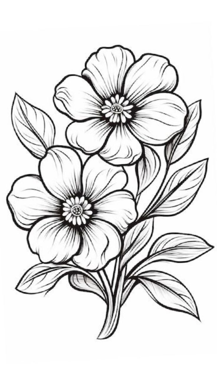 Pin By Norma On Manualidades Creativas In 2025 Flower Pattern Drawing Flower Art Drawing Doodle Art Flowers Pin By Norma On Manualidades Creativas In 2025 Flower Pattern Drawing Flower Art Drawing Doodle Art Flowers
