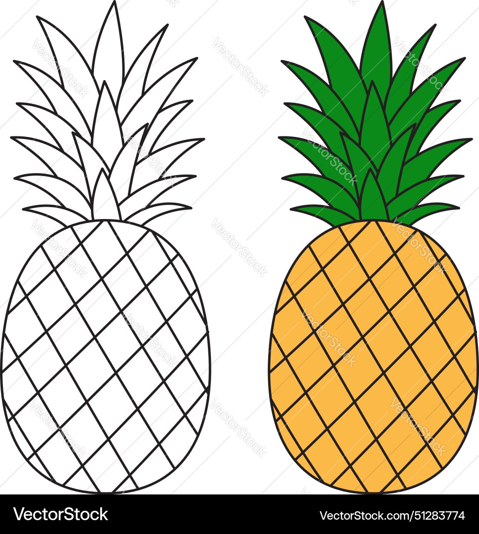 Pineapple Coloring Page Summer Colouring Vector Image Pineapple Coloring Page Summer Colouring Vector Image