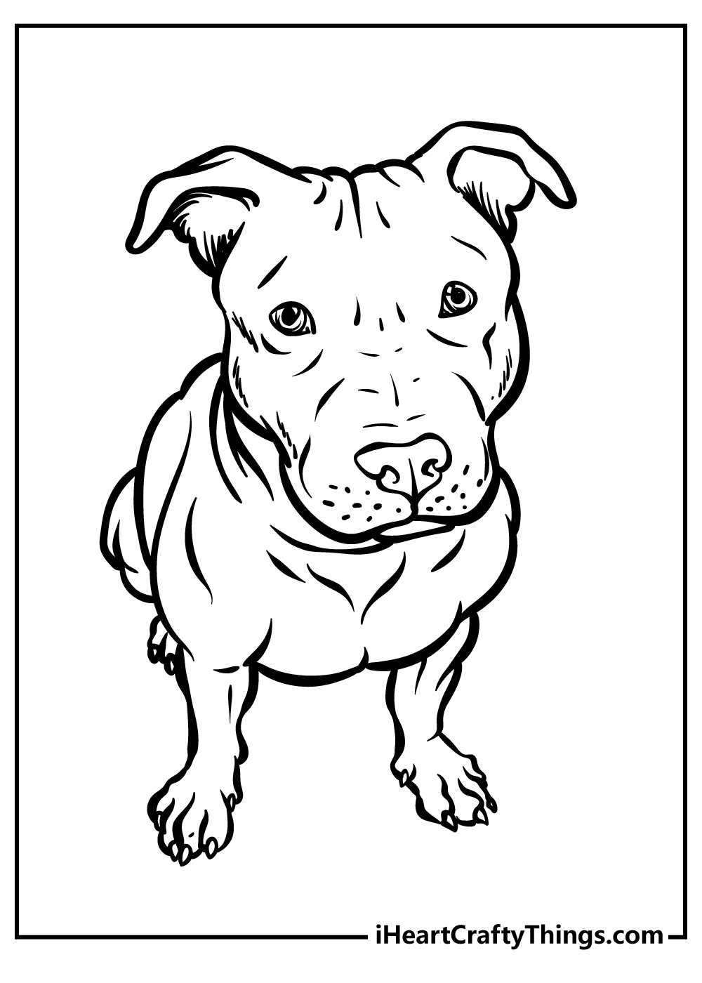 Pitbull Coloring Pages 100 Free Printables