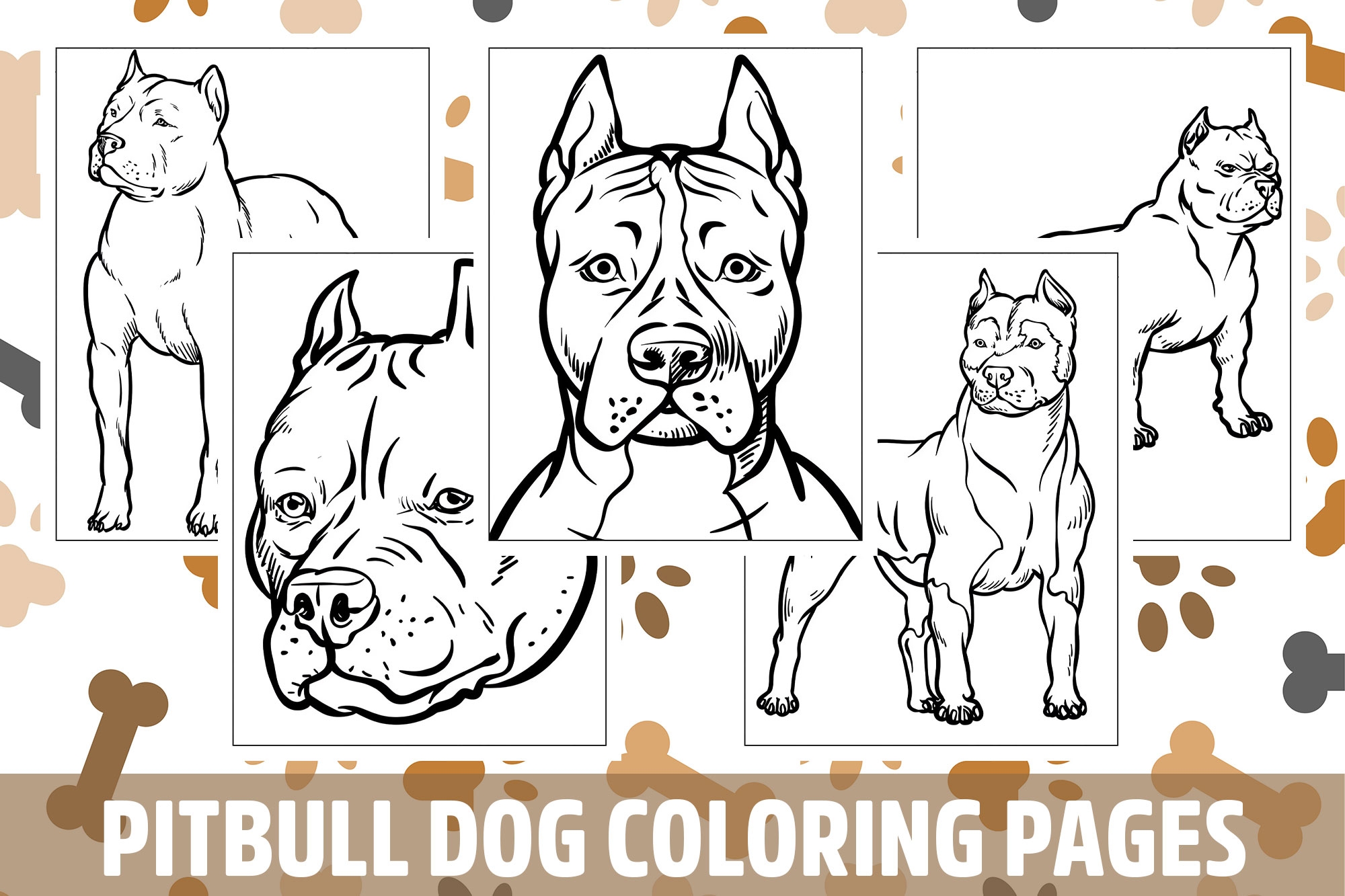 pitbull dog coloring pages pitbull dog coloring pages