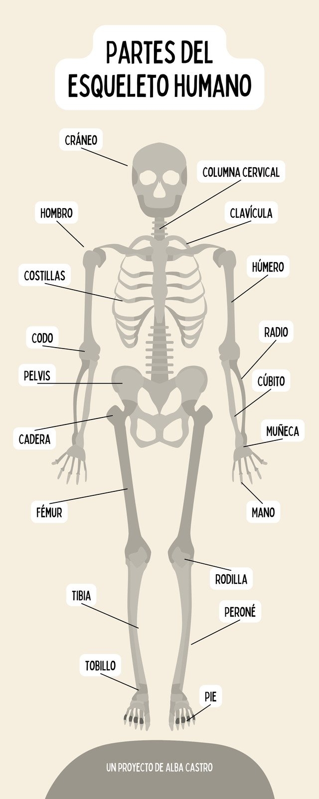 Plantillas De Esqueleto Online Gratis Canva Plantillas De Esqueleto Online Gratis Canva