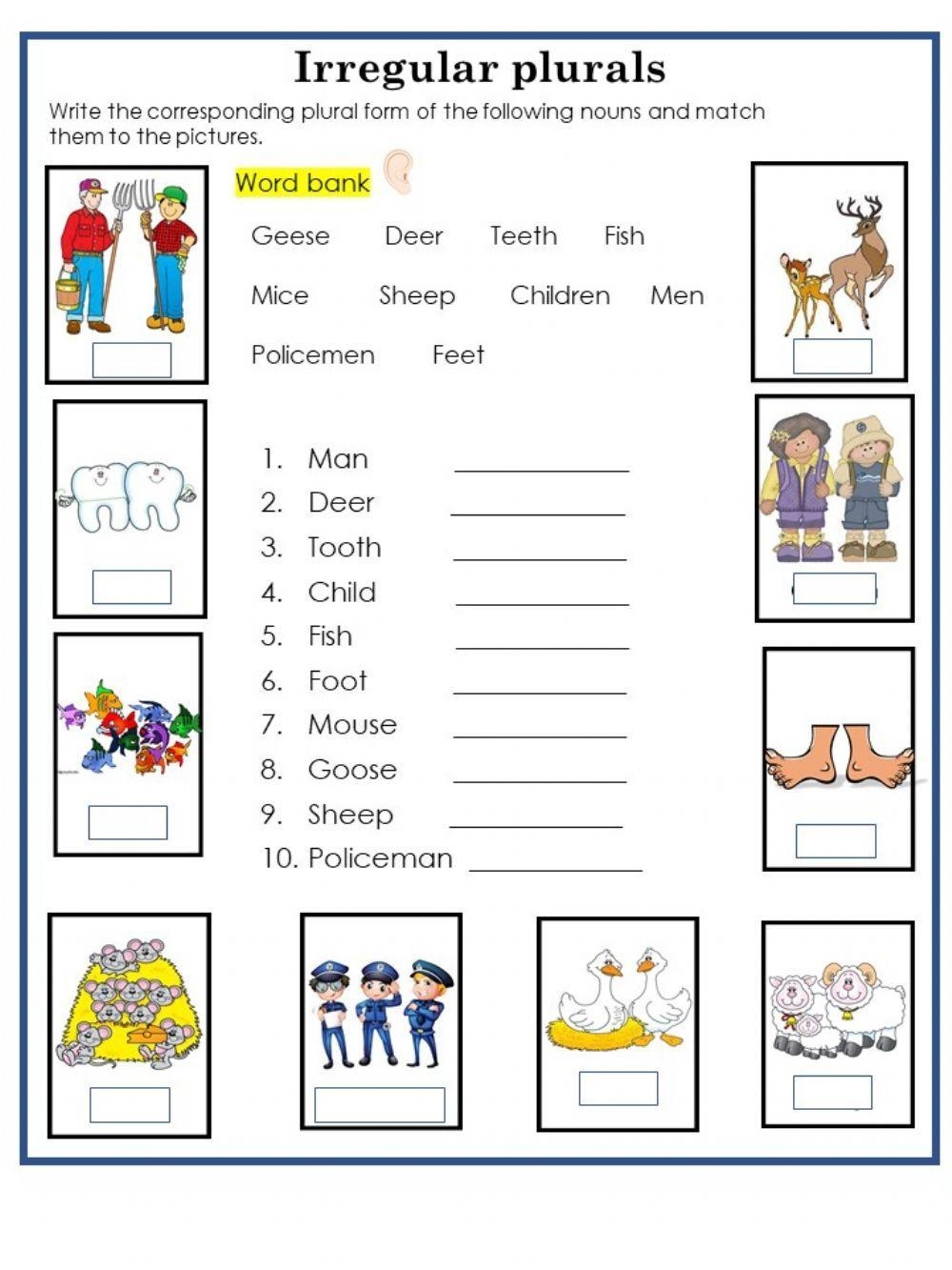 Plural amp Irregular Plural Nouns Worksheets ReadingVine Worksheets Library Plural amp Irregular Plural Nouns Worksheets ReadingVine Worksheets Library